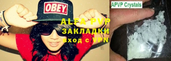 стафф Билибино
