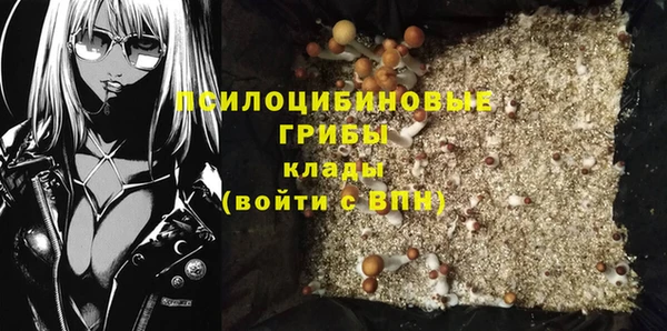 стафф Билибино