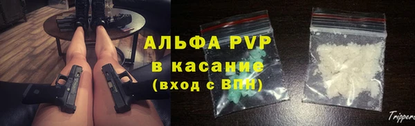 ГАЛЛЮЦИНОГЕННЫЕ ГРИБЫ Белая Холуница