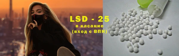 крисы Бикин