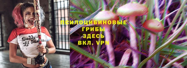 стафф Билибино